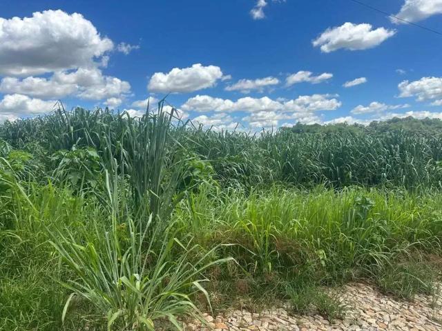 Fazenda venda em Região Geográfica Imediata de Belo Horizonte, Região Metropolitana de Belo Horizonte