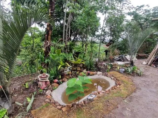 Fazenda venda em Região Geográfica Imediata de Belo Horizonte, Região Metropolitana de Belo Horizonte
