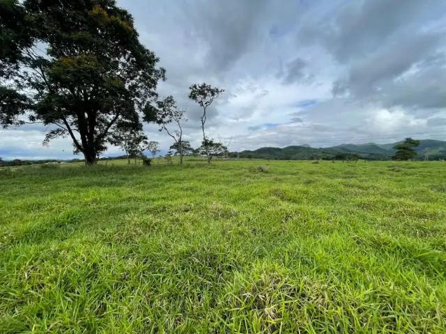 Fazenda venda em Região Geográfica Imediata de Belo Horizonte, Região Metropolitana de Belo Horizonte