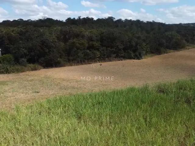 Fazenda venda em Região Geográfica Imediata de Dores do Indaiá, Martinho Campos