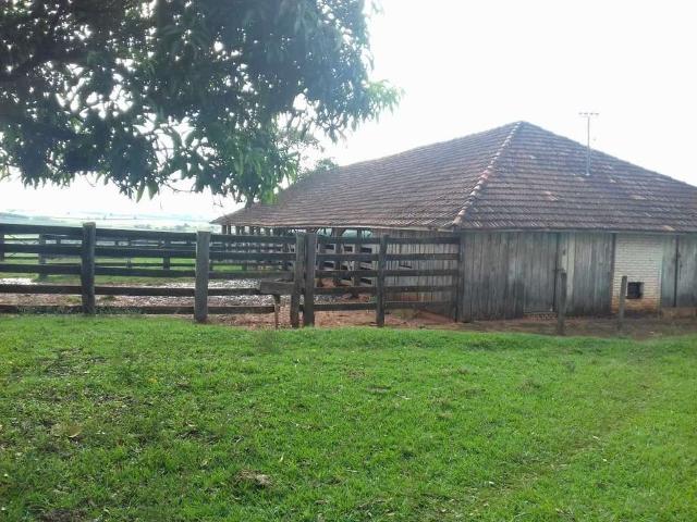 Fazenda venda em Região Imediata de Presidente Prudente, Martinópolis