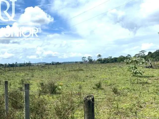 Fazenda venda em Região Geográfica Imediata de Camacan, Mascote