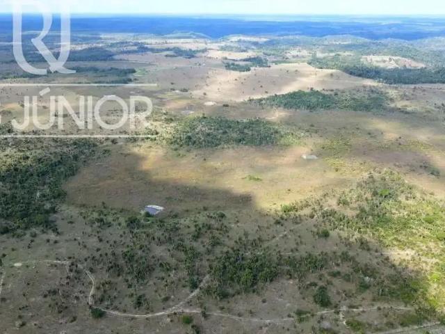 Fazenda venda em São João do Paraíso, Mascote