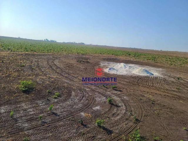 Fazenda venda em Região Geográfica Imediata de Timon, Matões
