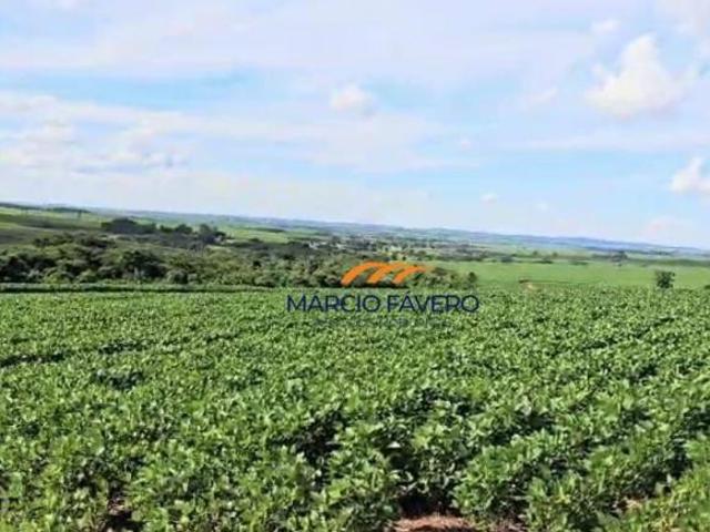 Sítio e chácara venda em Região Imediata de Araraquara, Matão