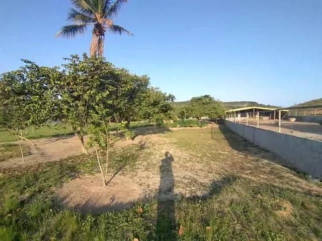 Fazenda venda em Dias d'Ávila