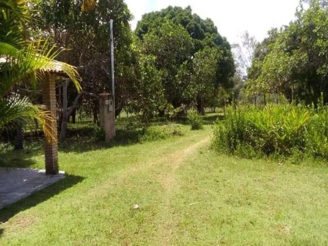 Fazenda venda em Açu da Torre, Mata de São João