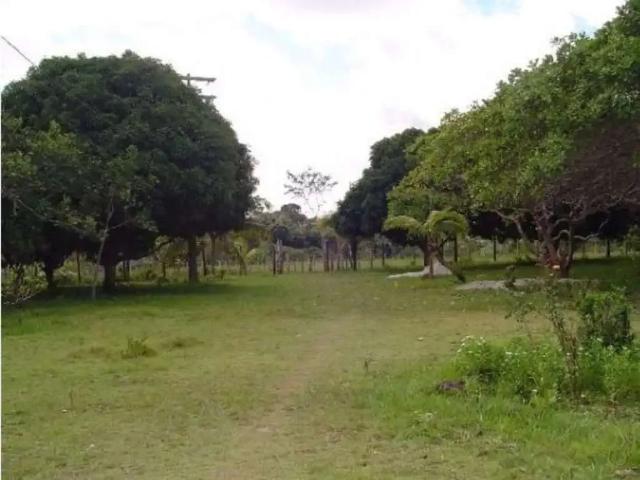 Fazenda venda em Região Geográfica Imediata de Salvador, Região Metropolitana de Salvador