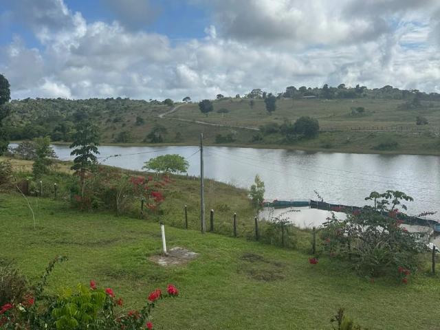 Fazenda venda em Mata de São João
