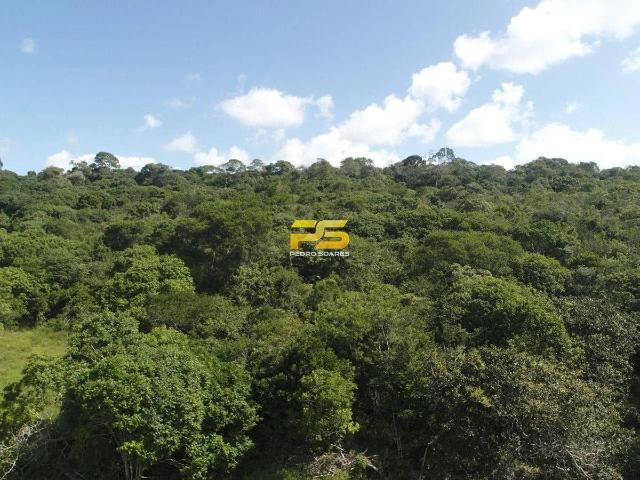 Fazenda venda em Mataraca