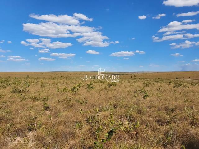 Fazenda venda em Região Geográfica Imediata de Palmas, Mateiros