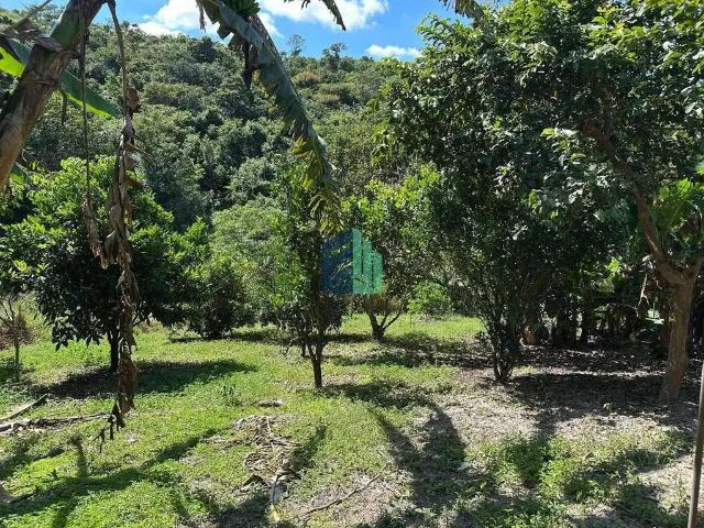 Fazenda venda em Região Geográfica Imediata de Belo Horizonte, Região Metropolitana de Belo Horizonte