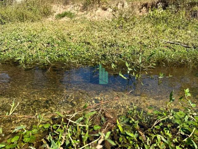 Fazenda venda em Região Geográfica Imediata de Belo Horizonte, Região Metropolitana de Belo Horizonte