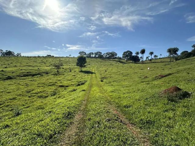 Fazenda venda em Região Geográfica Imediata de Belo Horizonte, Região Metropolitana de Belo Horizonte