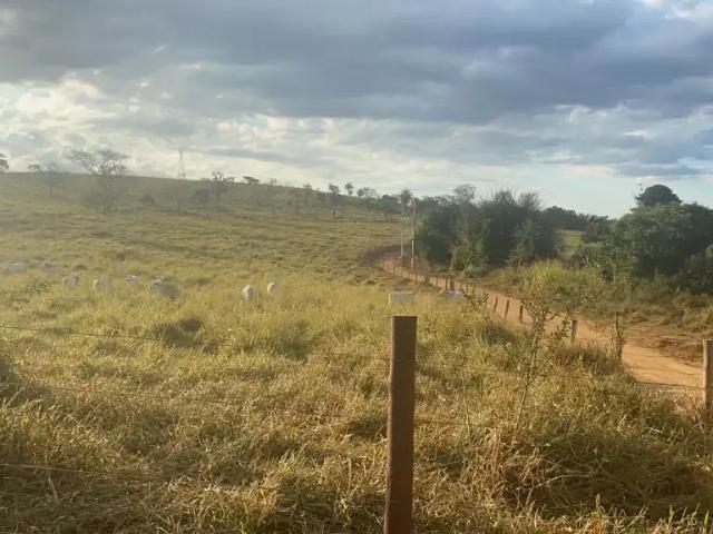 Fazenda venda em Região Geográfica Imediata de Sete Lagoas, Região Metropolitana de Belo Horizonte