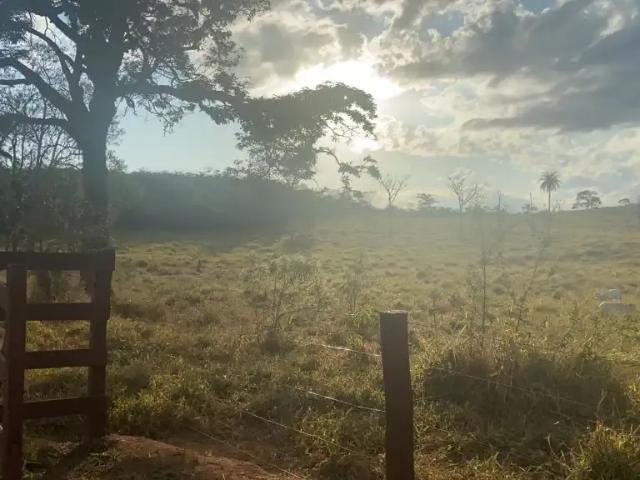 Fazenda venda em Região Geográfica Imediata de Sete Lagoas, Região Metropolitana de Belo Horizonte