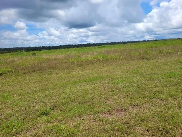 Fazenda venda em Região Geográfica Imediata de Peixoto de Azevedo - Guarantã do Norte, Matupá