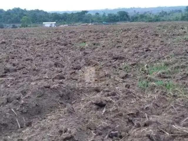 Fazenda venda em Região Geográfica Imediata de Peixoto de Azevedo - Guarantã do Norte, Matupá