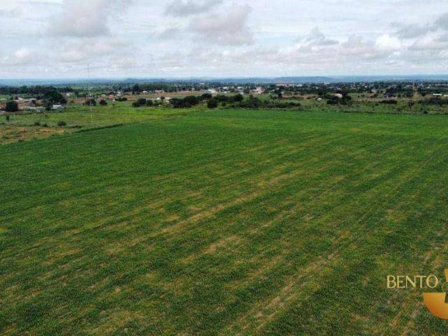 Fazenda venda em Matupá, Região Geográfica Intermediária de Sinop