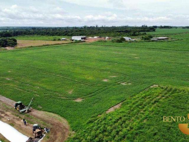 Fazenda venda em Matupá, Região Geográfica Intermediária de Sinop
