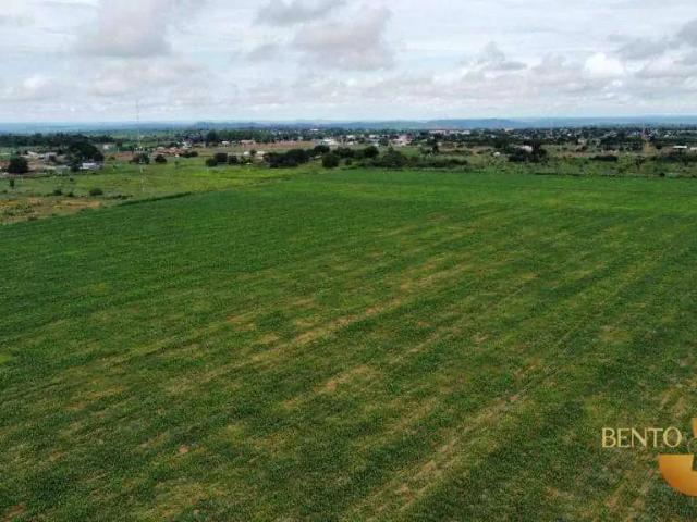 Fazenda venda em Região Geográfica Imediata de Peixoto de Azevedo - Guarantã do Norte, Matupá