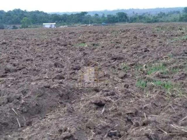 Fazenda venda em Matupá, Região Geográfica Intermediária de Sinop