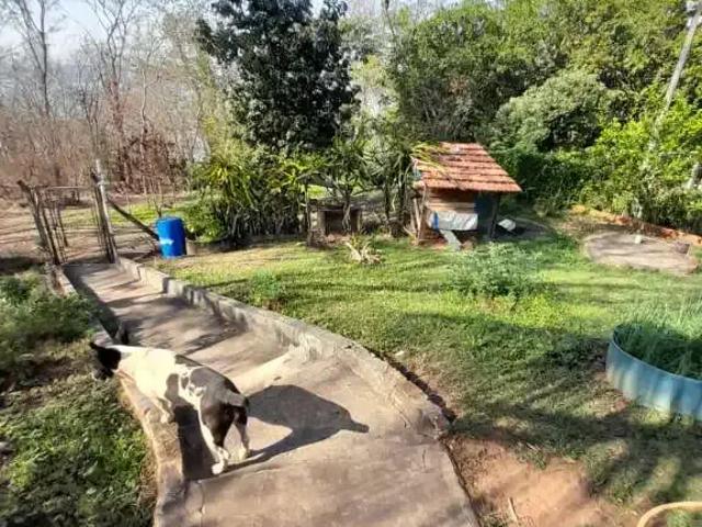 Fazenda venda em Região Imediata de São José do Rio Preto, Região Metropolitana de São José do Rio Preto