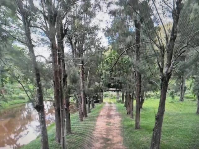 Fazenda venda em Miguel Pereira, Região Geográfica Intermediária de Volta Redonda-Barra Mansa