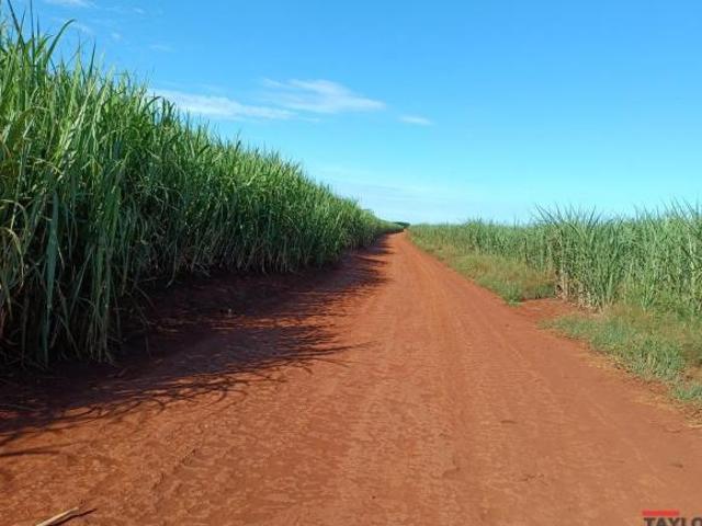 Sítio e chácara venda em Região Imediata de Ituverava, Miguelópolis