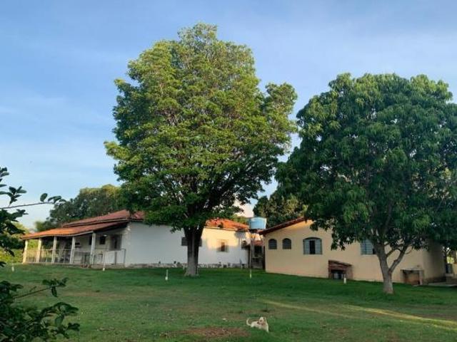 Sítio e chácara venda em Região Geográfica Imediata de Uruaçu - Niquelândia, Alto Horizonte