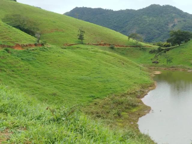 Fazenda venda em Região Geográfica Imediata de Cachoeiro de Itapemirim, Mimoso do Sul