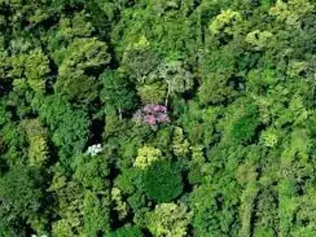 Fazenda venda em Região Geográfica Imediata de Cachoeiro de Itapemirim, Mimoso do Sul