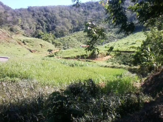 Fazenda venda em Região Geográfica Imediata de Cachoeiro de Itapemirim, Mimoso do Sul