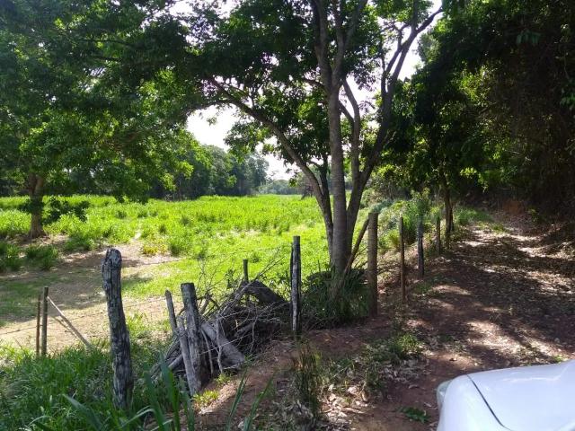 Fazenda venda em Região Geográfica Imediata de Cachoeiro de Itapemirim, Mimoso do Sul