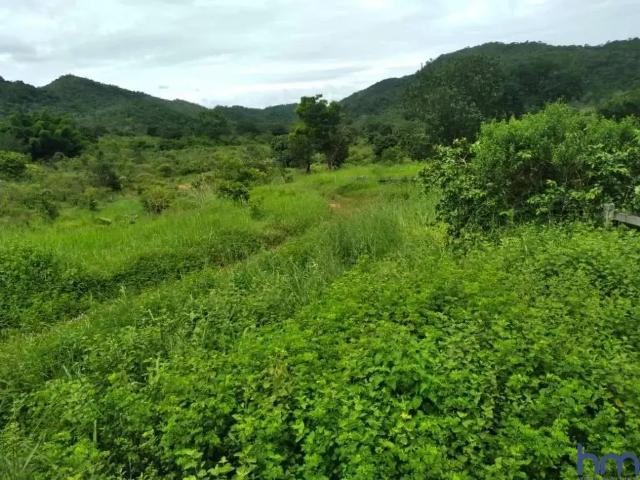Fazenda venda em Região Geográfica Imediata de Porangatu, Minaçu