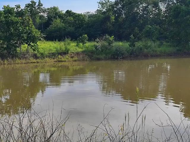 Fazenda venda em Região Geográfica Imediata de Porangatu, Minaçu