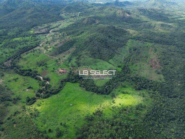 Fazenda venda em Região Geográfica Imediata de Uberlândia, Oliveira Fortes