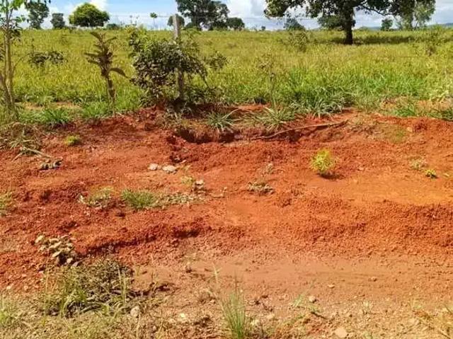 Fazenda venda em Região Geográfica Imediata de Porangatu, Minaçu
