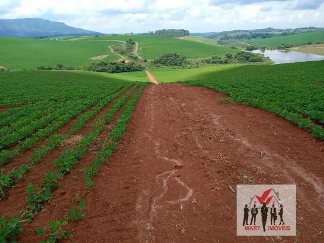 Fazenda venda em Região Geográfica Imediata de Caxambu - Baependi, Minduri
