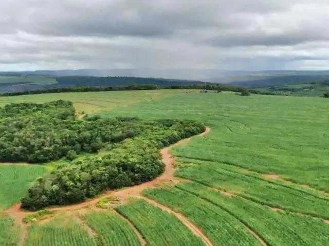 Fazenda venda em Região Geográfica Imediata de Jataí-Mineiros, Mineiros