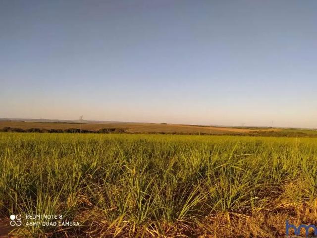 Fazenda venda em Região Geográfica Imediata de Jataí-Mineiros, Mineiros