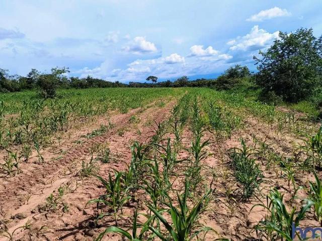 Fazenda venda em Região Geográfica Imediata de Jataí-Mineiros, Mineiros