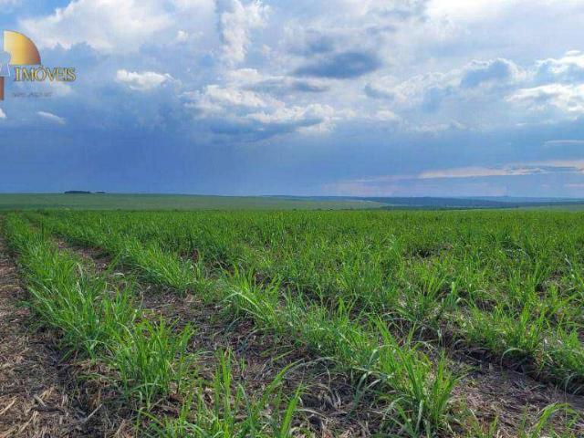 Fazenda venda em Mineiros, Região Geográfica Intermediária de Rio Verde