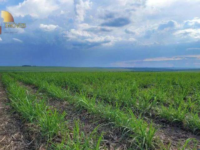 Fazenda venda em Região Geográfica Imediata de Jataí-Mineiros, Mineiros