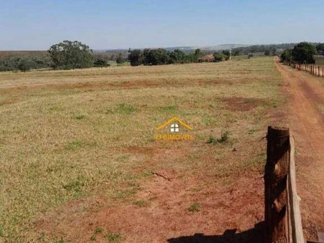 Fazenda venda em Mira Estrela, Região Geográfica Intermediária de São José do Rio Preto