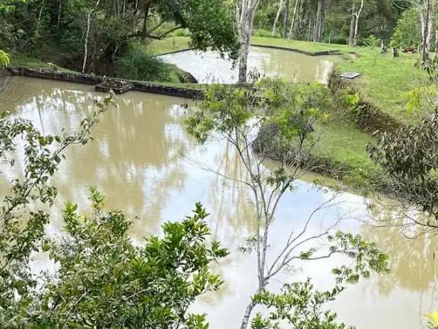 Fazenda venda em Miracatu