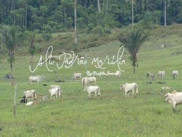 Sitio venda em Miranda, Miranda