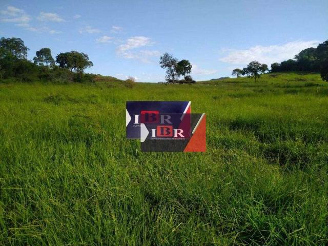 Fazenda venda em Miranda, Centro