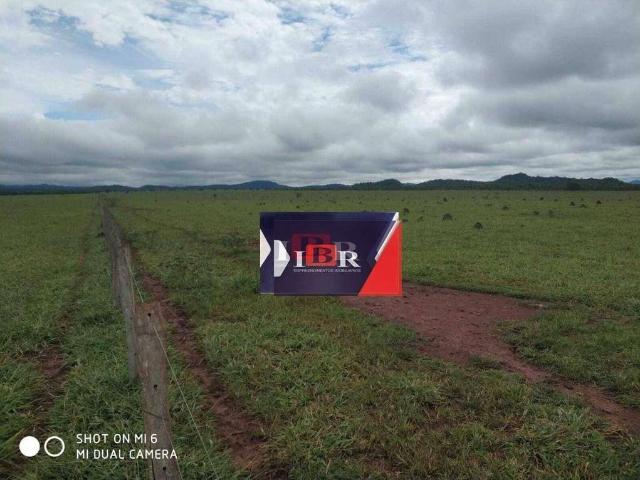 Fazenda venda em Miranda, Miranda