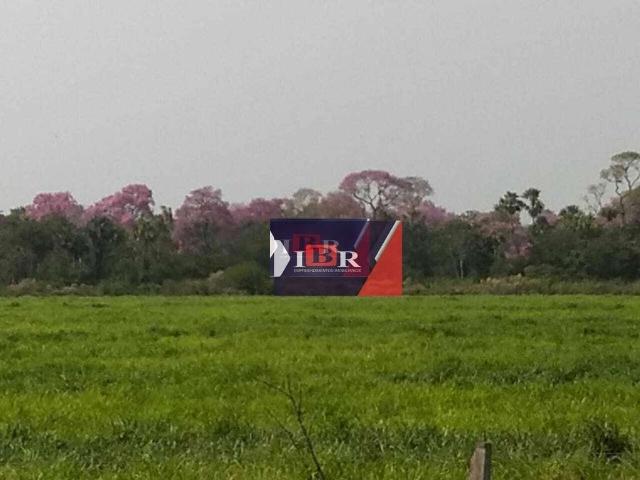 Fazenda venda em Miranda, Miranda